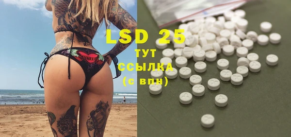 индика Пересвет