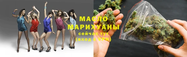 индика Пересвет