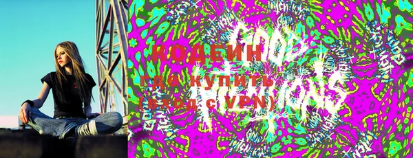 индика Пересвет