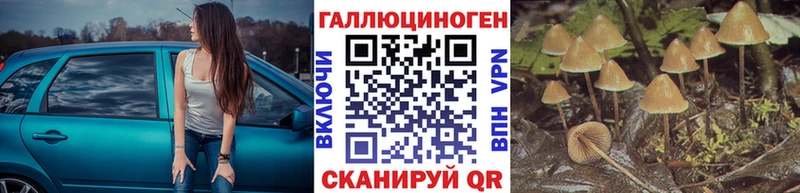 продажа наркотиков  Слюдянка  Псилоцибиновые грибы прущие грибы 